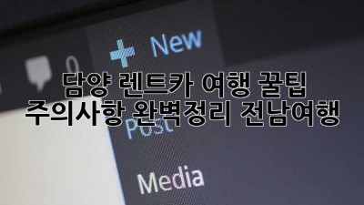 담양 렌트카 여행 꿀팁 🚗💨 주의사항 완벽정리! #전남여행